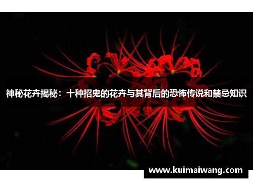 神秘花卉揭秘:十种招鬼的花卉与其背后的恐怖传说和禁忌知识
